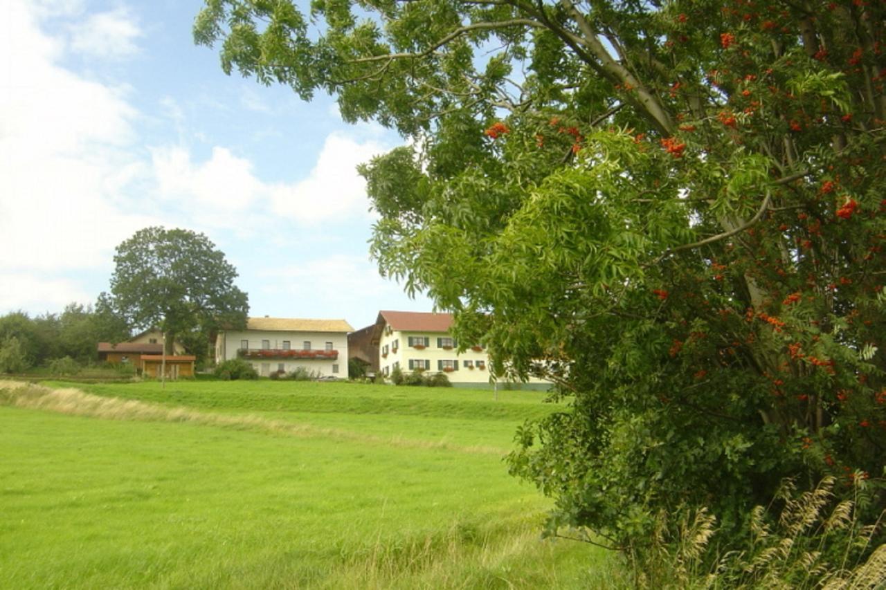 Birkenhof Apartamento Neukirchen beim Heiligen Blut Exterior foto
